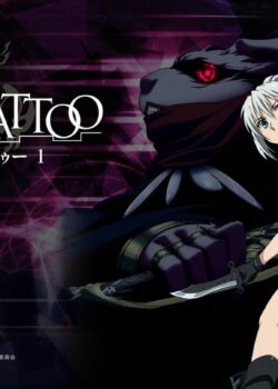 Ấn Chú Cấm - Taboo Tattoo