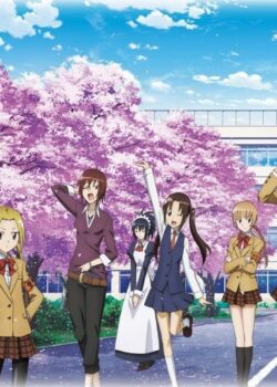 Hoạch Định Ousai phần 2 - Seitokai Yakuindomo season 2