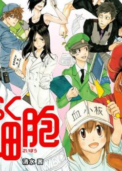 Khi Các Tế Bào Làm Việc - Hataraku Saibou